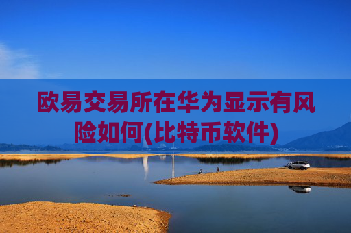 欧易交易所在华为显示有风险如何(比特币软件)