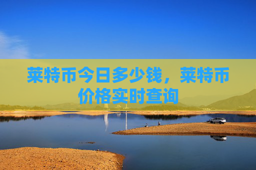 莱特币今日多少钱,莱特币价格实时查询