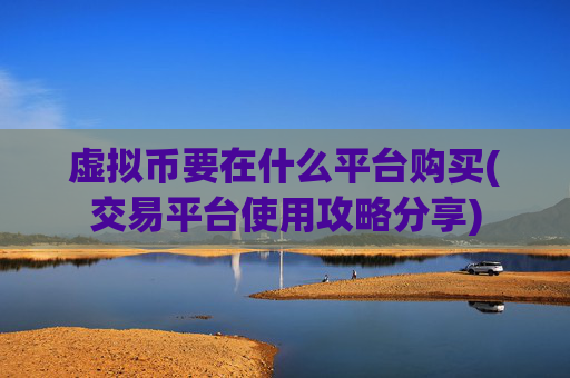 虚拟币要在什么平台购买(交易平台使用攻略分享)