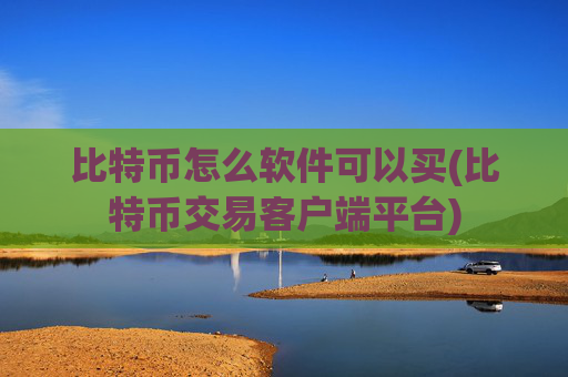 比特币怎么软件可以买(比特币交易客户端平台)