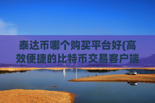 泰达币哪个购买平台好(高效便捷的比特币交易客户端分享)