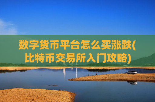 数字货币平台怎么买涨跌(比特币交易所入门攻略)