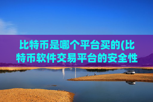 比特币是哪个平台买的(比特币软件交易平台的安全性评估)