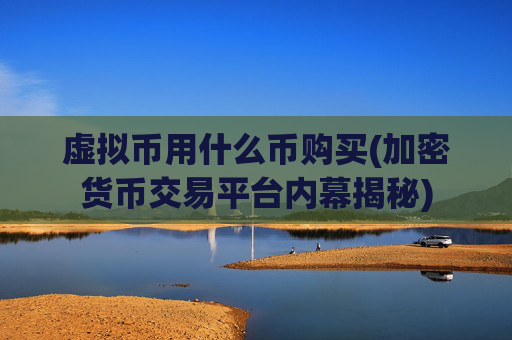 虚拟币用什么币购买(加密货币交易平台内幕揭秘)