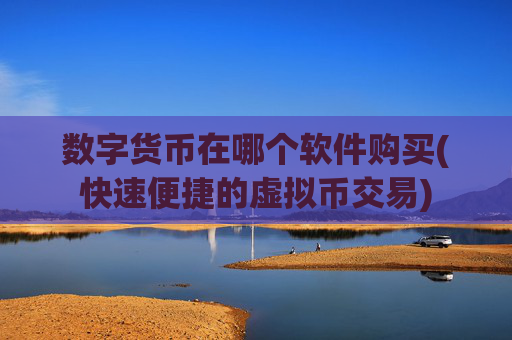 数字货币在哪个软件购买(快速便捷的虚拟币交易)