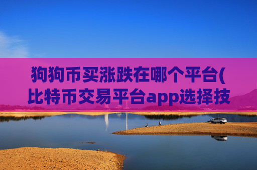 狗狗币买涨跌在哪个平台(比特币交易平台app选择技巧)