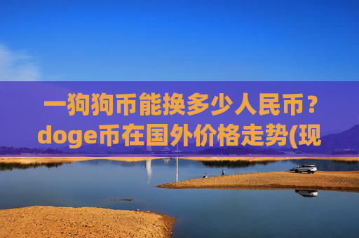一狗狗币能换多少人民币？doge币在国外价格走势(现价3.1387元)