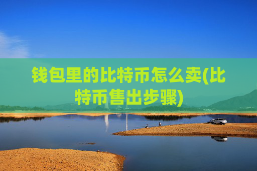 钱包里的比特币怎么卖(比特币售出步骤)