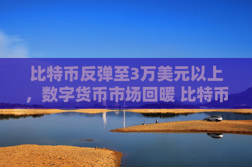 比特币反弹至3万美元以上,数字货币市场回暖 比特币价格回升