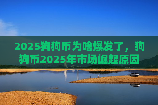2025狗狗币为啥爆发了,狗狗币2025年市场崛起原因分析