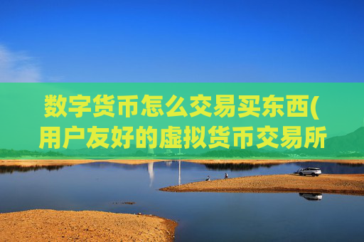 数字货币怎么交易买东西(用户友好的虚拟货币交易所app)