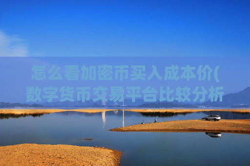怎么看加密币买入成本价(数字货币交易平台比较分析)