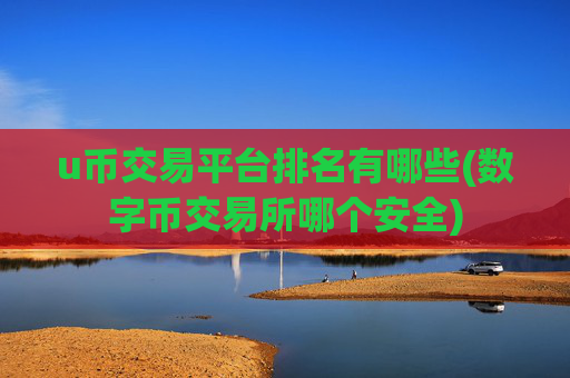 u币交易平台排名有哪些(数字币交易所哪个安全)