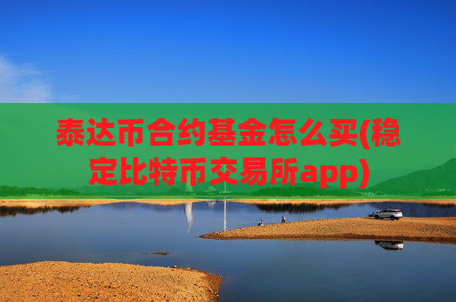 泰达币合约基金怎么买(稳定比特币交易所app)