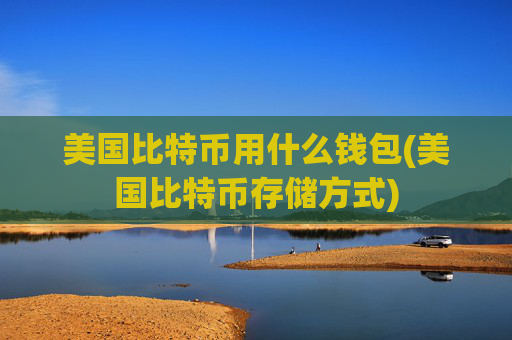 美国比特币用什么钱包(美国比特币存储方式)
