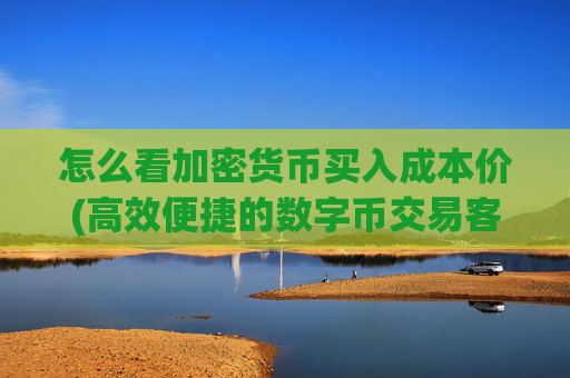 怎么看加密货币买入成本价(高效便捷的数字币交易客户端)