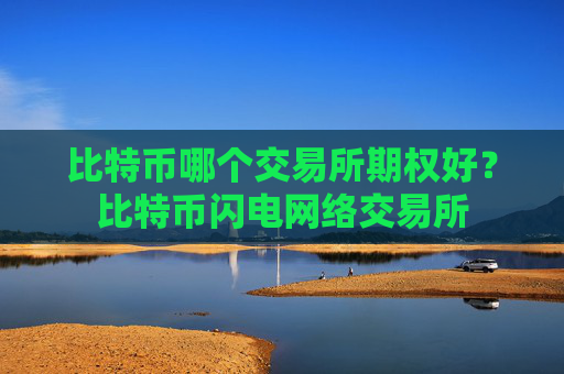 比特币哪个交易所期权好?比特币闪电网络交易所