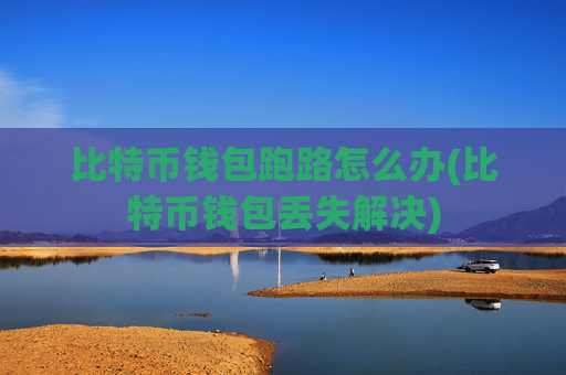 比特币钱包跑路怎么办(比特币钱包丢失解决)