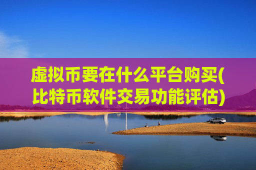 虚拟币要在什么平台购买(比特币软件交易功能评估)