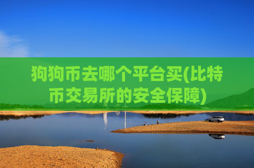 狗狗币去哪个平台买(比特币交易所的安全保障)