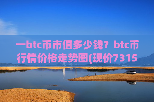 一btc币市值多少钱?btc币行情价格走势图(现价731528.53元)