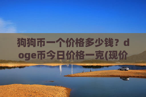 狗狗币一个价格多少钱?doge币今日价格一克(现价3.1308元)