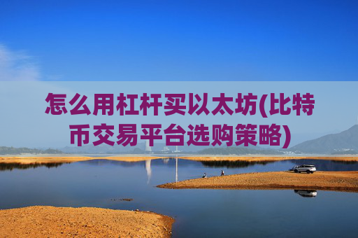 怎么用杠杆买以太坊(比特币交易平台选购策略)