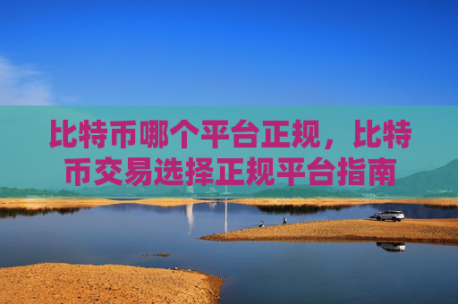 比特币哪个平台正规，比特币交易选择正规平台指南