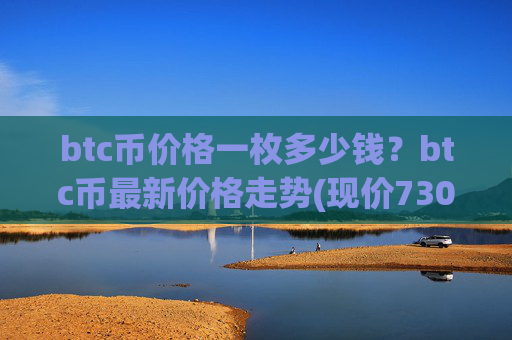 btc币价格一枚多少钱？btc币最新价格走势(现价730633.35元)