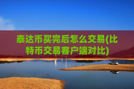 泰达币买完后怎么交易(比特币交易客户端对比)