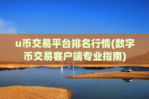 u币交易平台排名行情(数字币交易客户端专业指南)