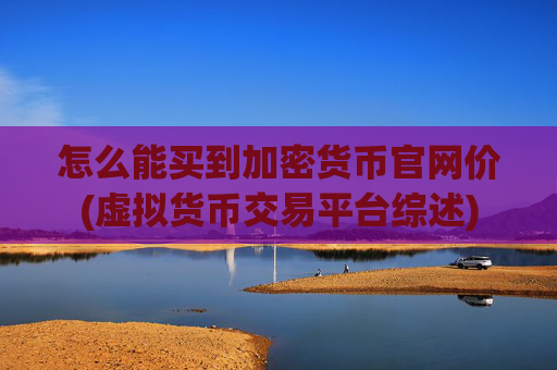 怎么能买到加密货币官网价(虚拟货币交易平台综述)