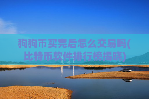 狗狗币买完后怎么交易吗(比特币软件排行榜揭晓)