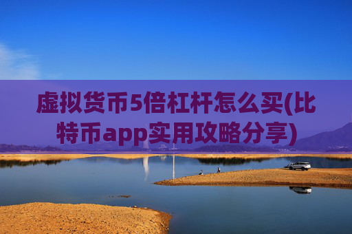 虚拟货币5倍杠杆怎么买(比特币app实用攻略分享)