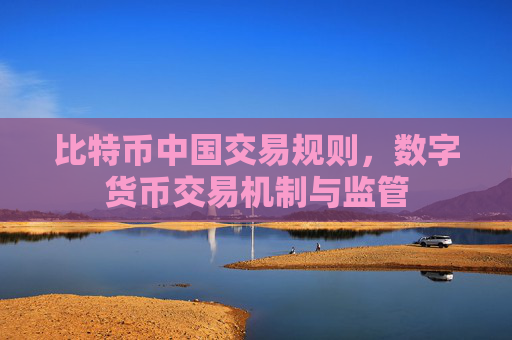 比特币中国交易规则,数字货币交易机制与监管