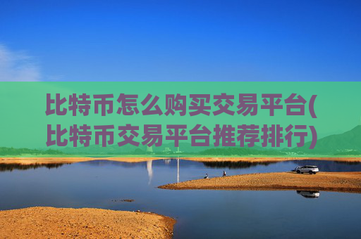 比特币怎么购买交易平台(比特币交易平台推荐排行)