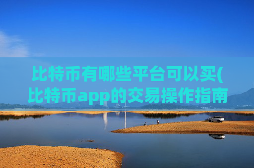 比特币有哪些平台可以买(比特币app的交易操作指南)