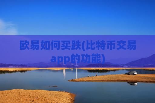 欧易如何买跌(比特币交易app的功能)