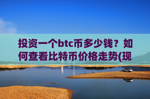 投资一个btc币多少钱？如何查看比特币价格走势(现价731760.71元)