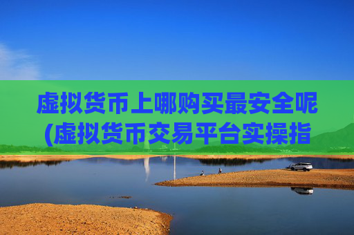 虚拟货币上哪购买最安全呢(虚拟货币交易平台实操指南)