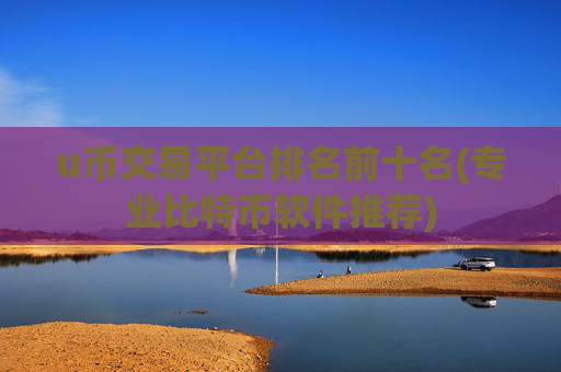 u币交易平台排名前十名(专业比特币软件推荐)
