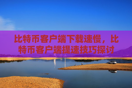 比特币客户端下载速慢，比特币客户端提速技巧探讨