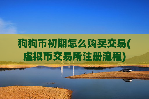 狗狗币初期怎么购买交易(虚拟币交易所注册流程)