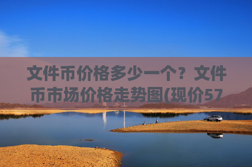 文件币价格多少一个?文件币市场价格走势图(现价57.2894元)