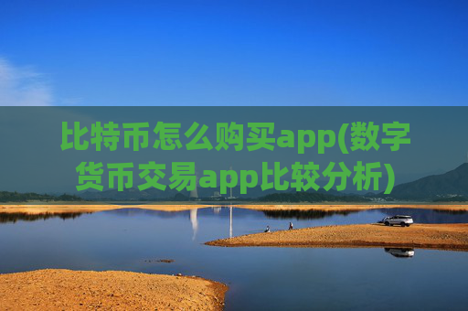 比特币怎么购买app(数字货币交易app比较分析)