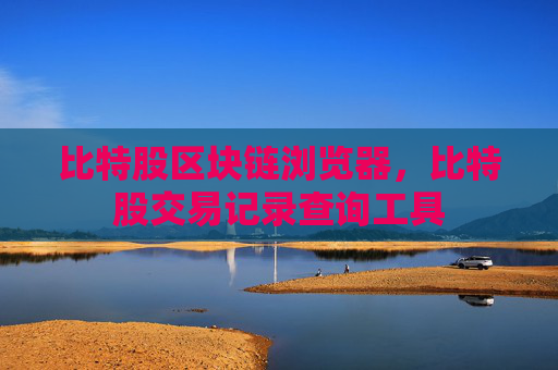 比特股区块链浏览器,比特股交易记录查询工具