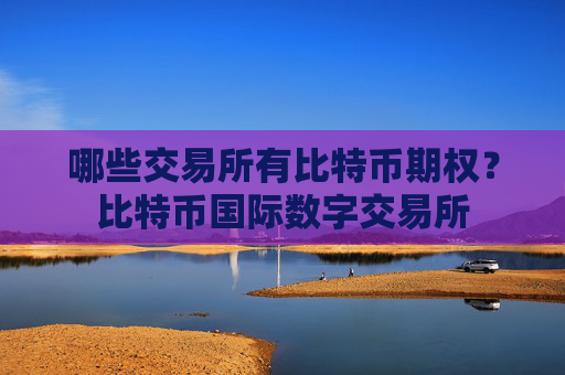 哪些交易所有比特币期权?比特币国际数字交易所