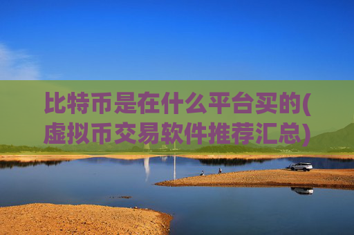 比特币是在什么平台买的(虚拟币交易软件推荐汇总)
