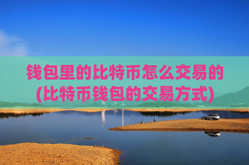 钱包里的比特币怎么交易的(比特币钱包的交易方式)