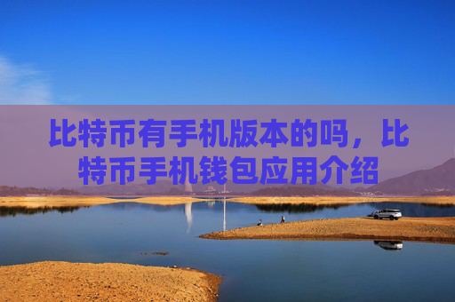 比特币有手机版本的吗，比特币手机钱包应用介绍